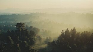 Всё о физических явлениях