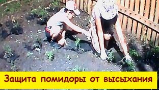 Житейские будни 