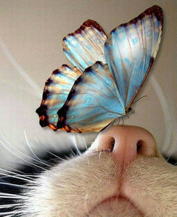 Моя творческая натура.