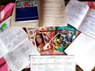 Грызня гранита науки