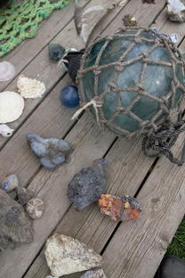 Находки на пляжах Сахалина