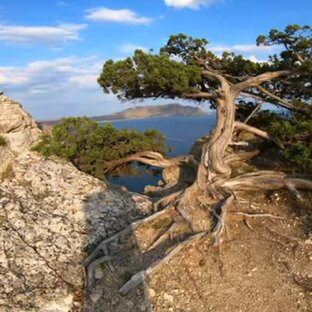 Черноморское побережье. Мои фильмы и статьи.