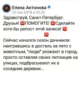 Животные.Помощь.