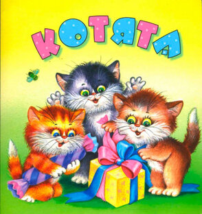 Рассказы и стихи о котиках