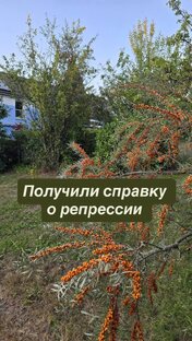 Запрос документов