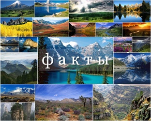 факты