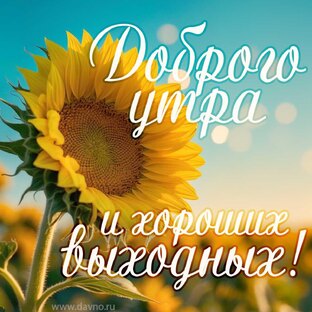 Открытки и поздравления