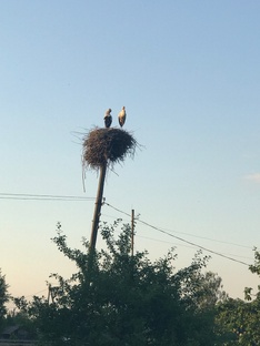 Броницкая Гута. Раннее утро