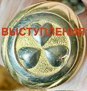 ВЫСТУПЛЕНИЯ / ДОКЛАДЫ.