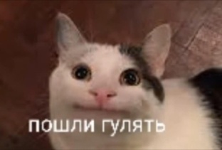 Мне каждый день присылают эту фотку