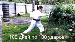 Десять тысяч ударов. Челлендж. 100 дней по 100 ударов.