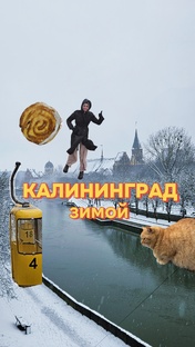 КАЛИНИНГРАД в январе 