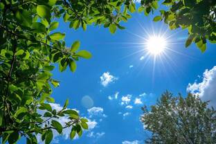 Подборки из интернета.