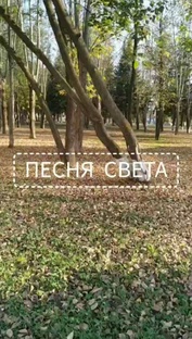 ПЕСНИ СВЕТА