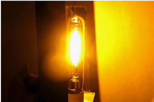 Свет для растений