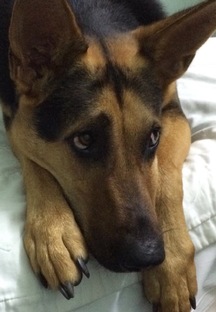 Записки о наболевшем