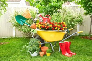 Садоводство