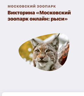 Правильные ответы на Викторины в Активном Гражданине