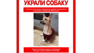 Аркадий - 🆘🆘🆘