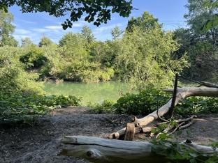 Природа вокруг