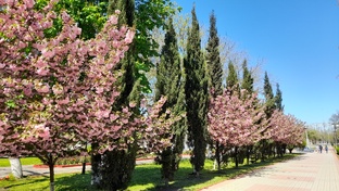 Керчь - город, который нельзя не любить!