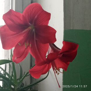 Рубрика ОДИН ДЕНЬ ИЗ МОЕЙ ЖИЗНИ 