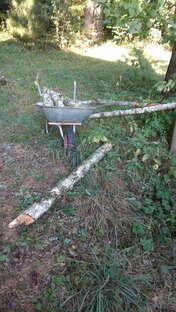 Первые видео канала