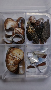 лайфхаки и идеи