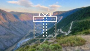 ПОДАРКИ ПОДПИСЧИКАМ 🩷