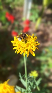 Посадочные планы на 2025