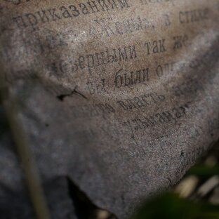 Поэтика Александра Михайловича