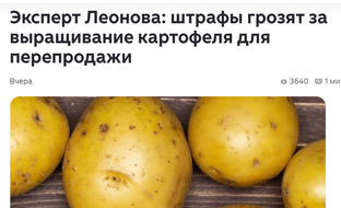 что дачникам запрещено
