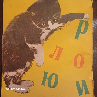 В алфавитном беспорядке