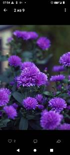  Движение это жизнь