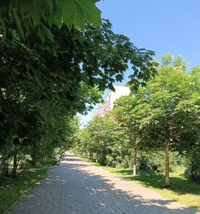 Подмосковье