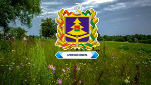 Брянская область (ЦФО)