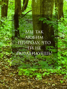 Ролики о животных.