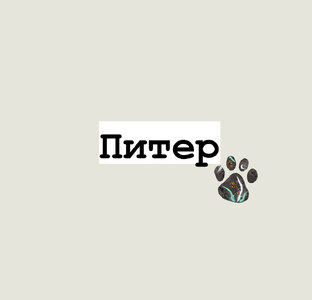 Питер