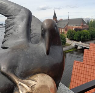 Калининград и его окрестности