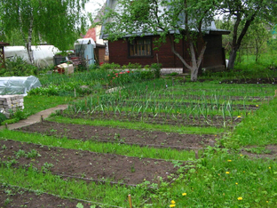 Дача у Наташи