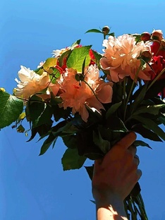 Я КИНОКРИТИК, А НЕ ВЫ  #кинокритик