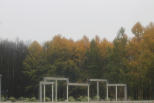 Путешествия, прогулки