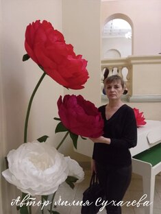 Гражданская лирика 2024