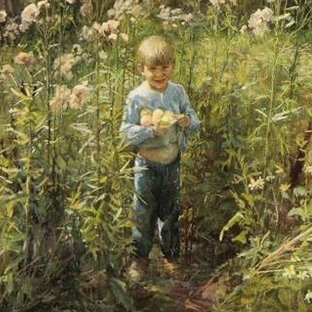 Мои рассказы