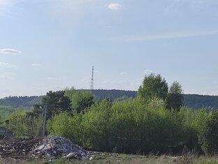 Заметки из жизни