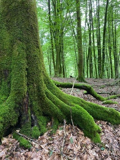 Походы по Сочи в 2023 году.