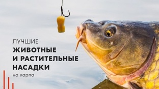 Лучшие насадки 