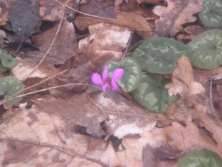 Переезд  в село