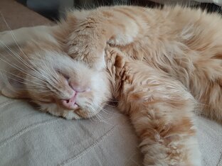 О нашей семье 