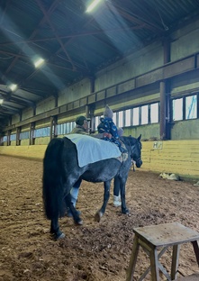 Иппотерапия